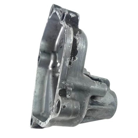 Tampa Eixo Pedal Suzuki DL 1000 V-Strom Ano 2009 Original