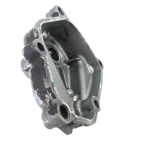 Tampa Eixo Pedal Suzuki DL 1000 V-Strom Ano 2009 Original