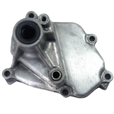 Tampa Eixo Pedal Suzuki DL 1000 V-Strom Ano 2009 Original