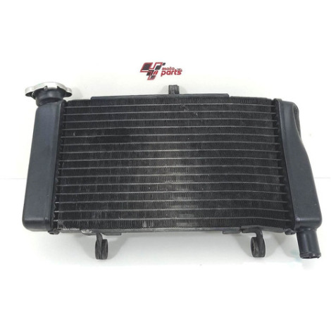 Radiador Com Avaria Moto Honda Cb 500 F Ano 2016 A 2019 Cb