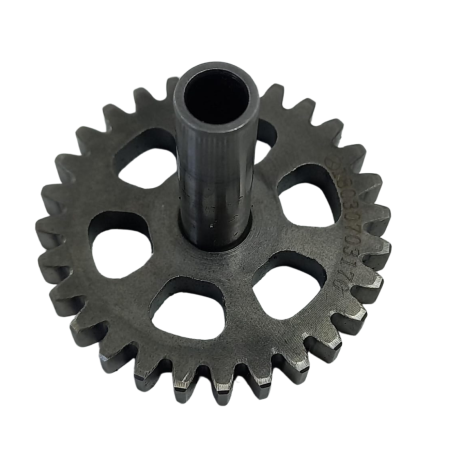 Engrenagem Partida Moto Bmw Modelo G310 GS Ano 2019 Original