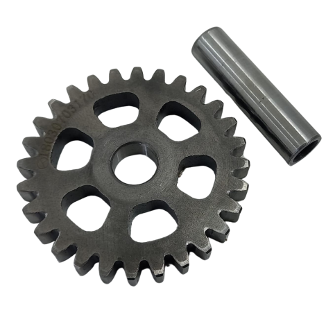 Engrenagem Partida Moto Bmw Modelo G310 GS Ano 2019 Original