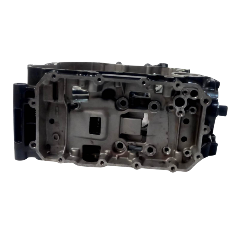 Carcaça Motor Marca BMW Modelo G310 GS Ano 2019 Original