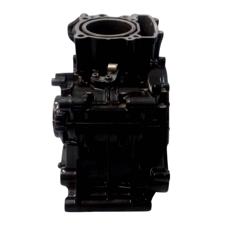 Carcaça Motor Marca BMW Modelo G310 GS Ano 2019 Original