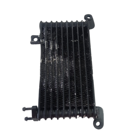 Radiador Óleo  Triumph Daytona 955i Ano 2006 Original Avaria