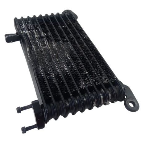 Radiador Óleo  Triumph Daytona 955i Ano 2006 Original Avaria