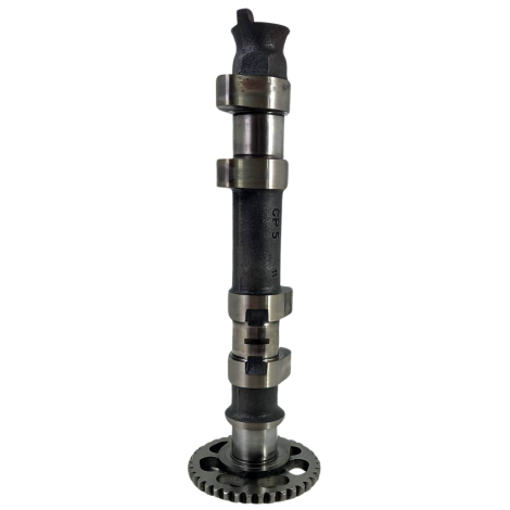 Comando Escape Marca BMW Modelo F800 GS Ano 2017 Original