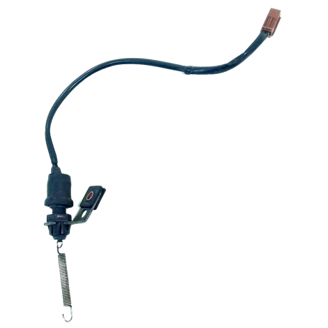 Interruptor Freio Traseiro Yamaha Yzf R1 Ano 2004 Origina