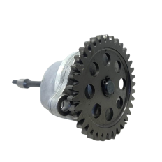 Bomba Óleo Marca Suzuki GSX S1000 AZ Ano 2020 Original