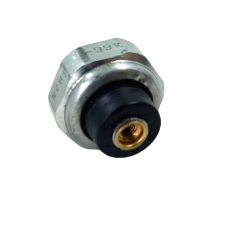 Sensor Cebolinha Kawasaki Versys-X 300 TR Ano 2024 Original