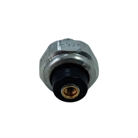 Sensor Cebolinha Kawasaki Versys-X 300 TR Ano 2024 Original