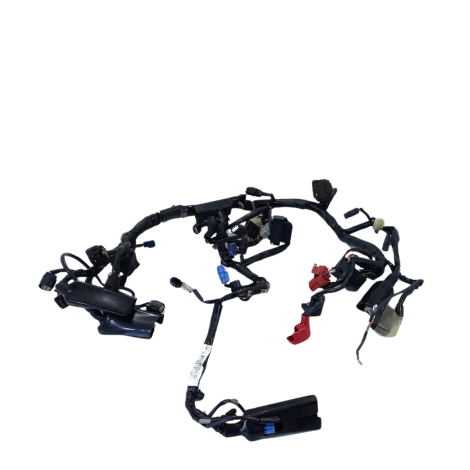 Chicote Principal Marca Honda CBR 650 F Ano 2015 Original