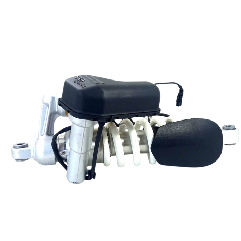 Amortecedor Traseiro BMW R1250 GS A Ano 2024 Original