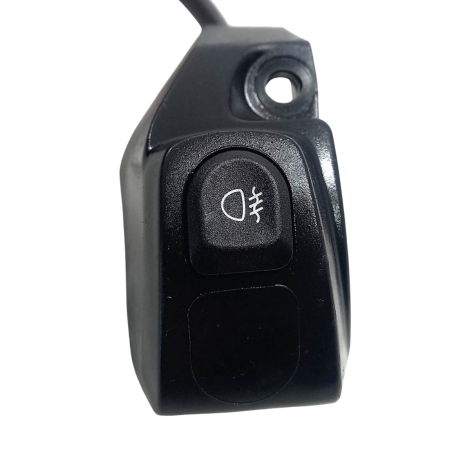 Interruptor Farol Neblina BMW R1250 GS A Ano 2024 Original