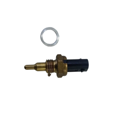 Sensor Temperatura BMW R1250 GS A Ano 2024 Original