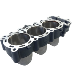Cilindro Motor Triumph Street triple 765 S Ano 2018 Original