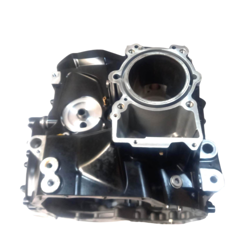 Carcaça Motor BMW R1250 GS A Ano 2024 Original