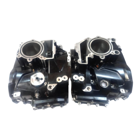 Carcaça Motor BMW R1250 GS A Ano 2024 Original