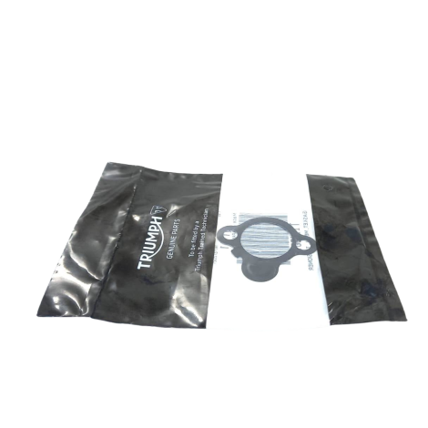 Junta Acionandor Corrente Comando Street triple 765 S 2018