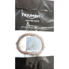 Anel Junta Escapamento Triumph Street triple 765 S 2018 Ori