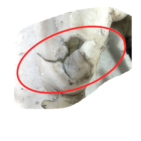 Reservatório Água Kawasaki ER6-N ABS Ano 2011 Origina AVARIA