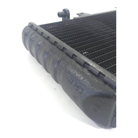 Radiador De Água Bmw Modelo F800 R 800 Ano 2013 Original