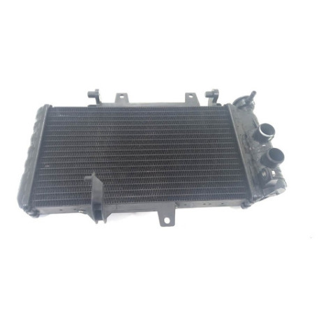 Radiador De Água Bmw Modelo F800 R 800 Ano 2013 Original