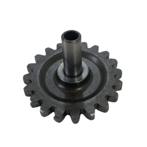 Engrenagem Partida Honda Cb600F Hornet Ano 2012 Original