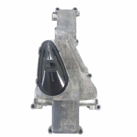 Pescador Óleo Marca Bmw Modelo F800 R Ano 2013 Original