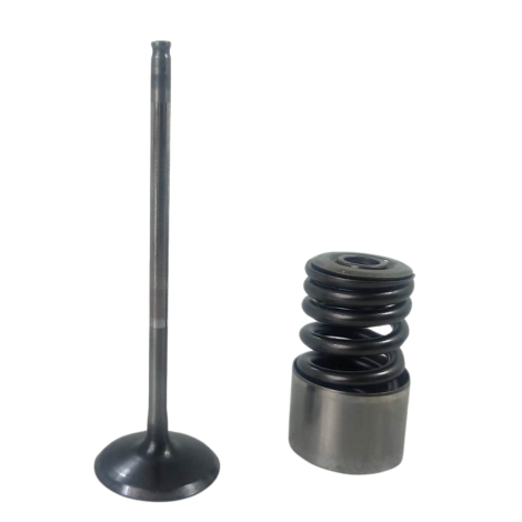 Válvula Admissão Marca Honda Cb600F Hornet Ano 2009 Original