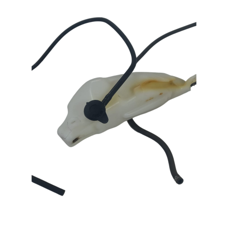 Reservatório Água Honda Modelo CBR 600 F Ano 2013 Original