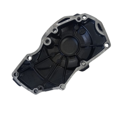 Tampa Pulsador Triumph Speed Triple 675 Ano 2013 Original