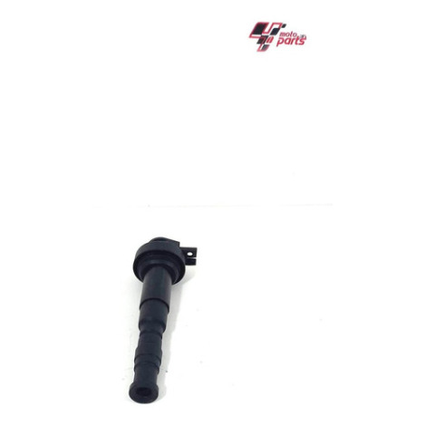 Cachimbo Bobina Bmw Modelo F800 R 800 Ano 2013 Original