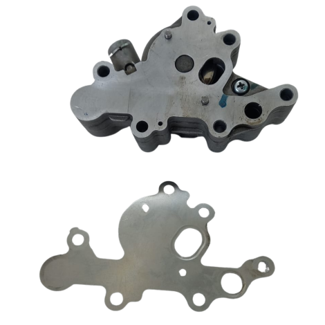 Bomba Óleo Royal Enfield Modelo Meteor S Ano 2022 Original