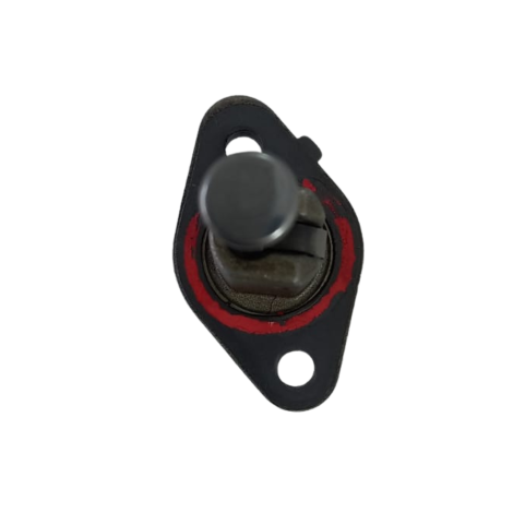 Esticador Corrente Royal Enfield Meteor S Ano 2022 Original