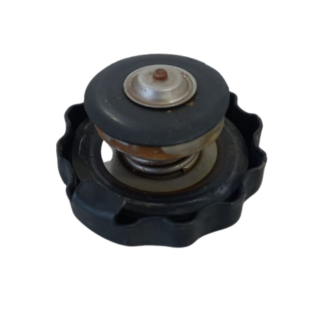 Tampa Radiador Honda CB 600 F Hornet Ano 2005 Original