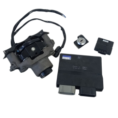Kit Ignição Marca Kawasaki Modelo Z900 Ano 2023 Original