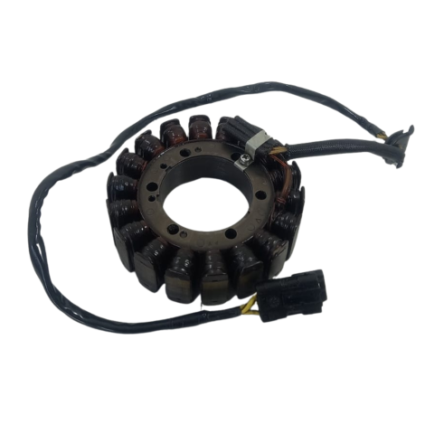 Estator Magneto Marca BMW Modelo F800 R Ano 2014 Original