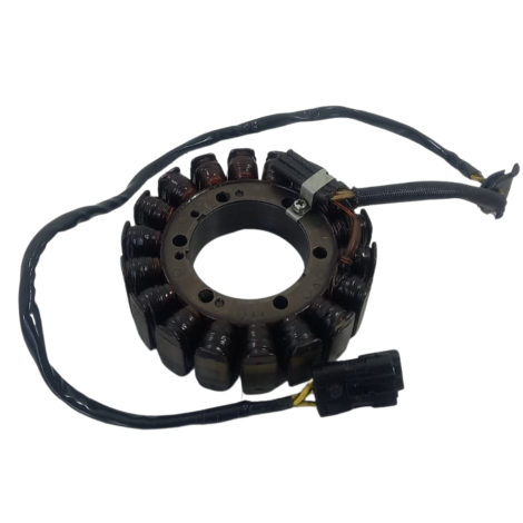 Estator Magneto Marca BMW Modelo F800 R Ano 2014 Original