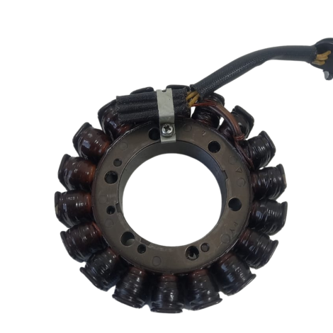 Estator Magneto Marca BMW Modelo F800 R Ano 2014 Original