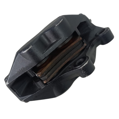 Pinça Dianteira Esquerda Marca BMW Modelo F800 R 2014 Origin