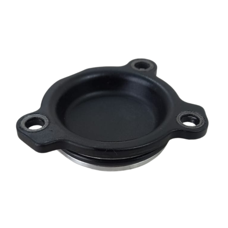 Tampa Bomba Óleo Marca BMW Modelo F800 R Ano 2013 Original