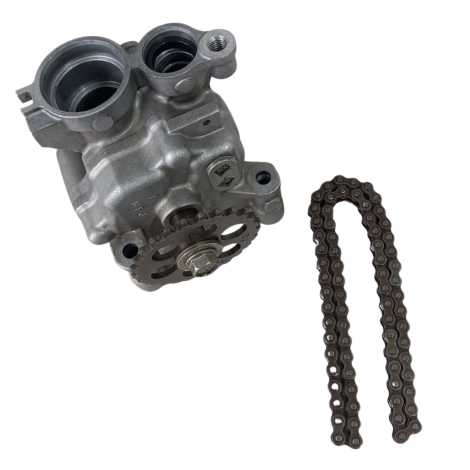 Bomba Óleo Marca Honda CB600F Hornet Ano 2010 Original