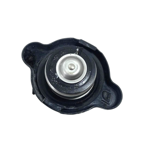 Tampa Radiador Marca Kawasaki Ninja Zx10 R Ano 2020 Origina