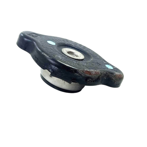 Tampa Radiador Marca Kawasaki Ninja Zx10 R Ano 2020 Origina