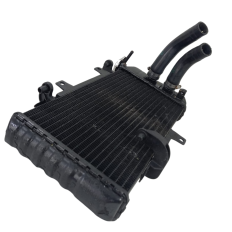 Radiador Água Marca BMW Modelo F800 R Ano 2012 Origin