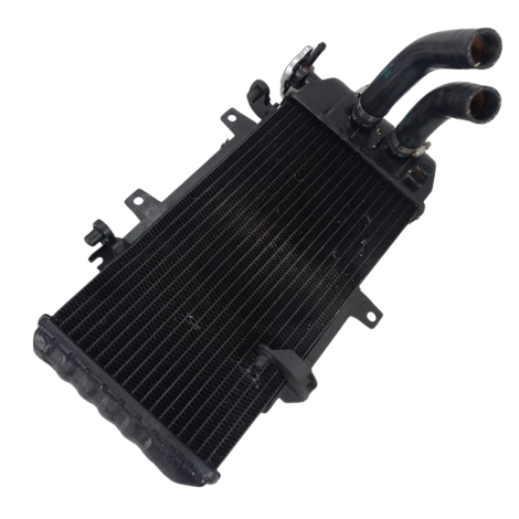 Radiador Água Marca BMW Modelo F800 R Ano 2012 Origin