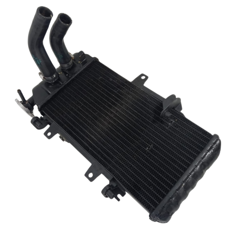 Radiador Água Marca BMW Modelo F800 R Ano 2012 Origin