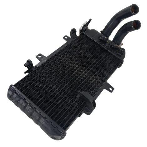 Radiador Água Marca BMW Modelo F800 R Ano 2012 Origin