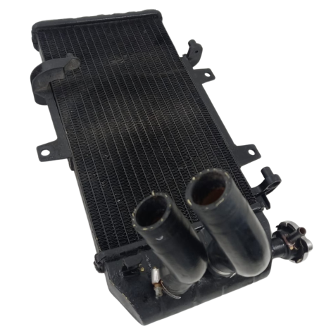 Radiador Água Marca BMW Modelo F800 R Ano 2012 Origin